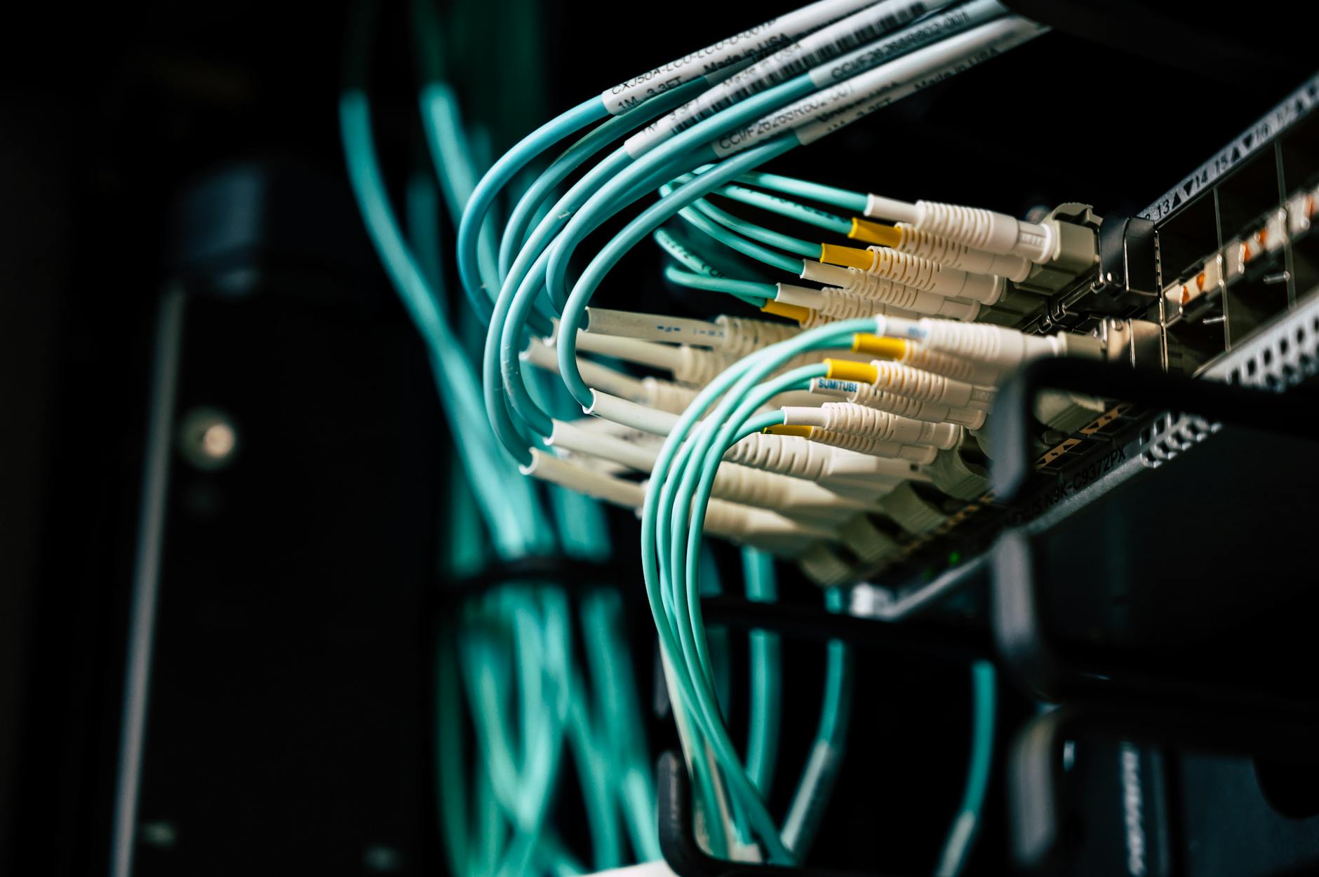 Network cables and connections illustrating online gaming infrastructure
