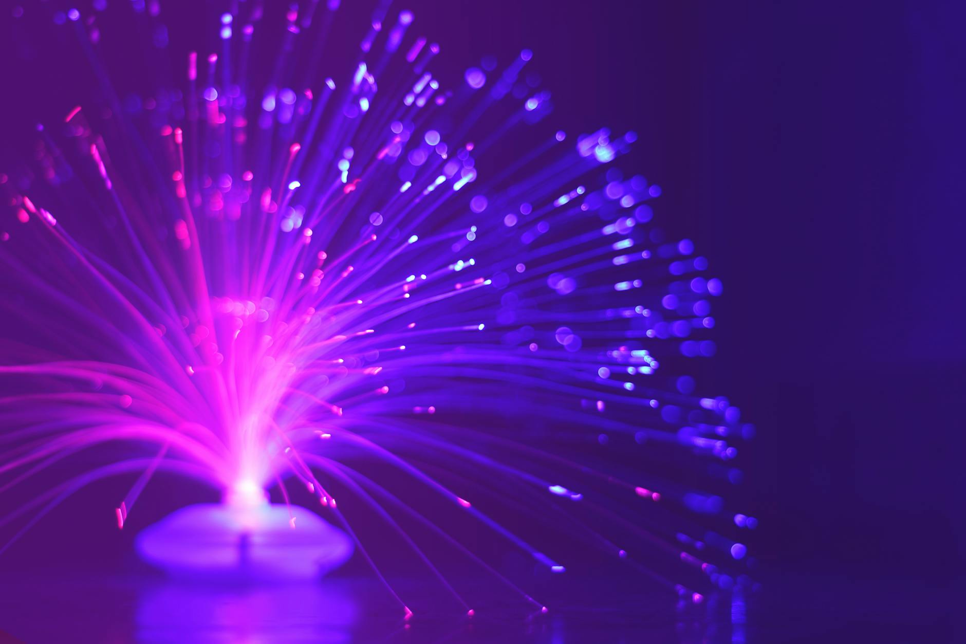 Fiber optic cables carrying high-speed internet data for gaming networks