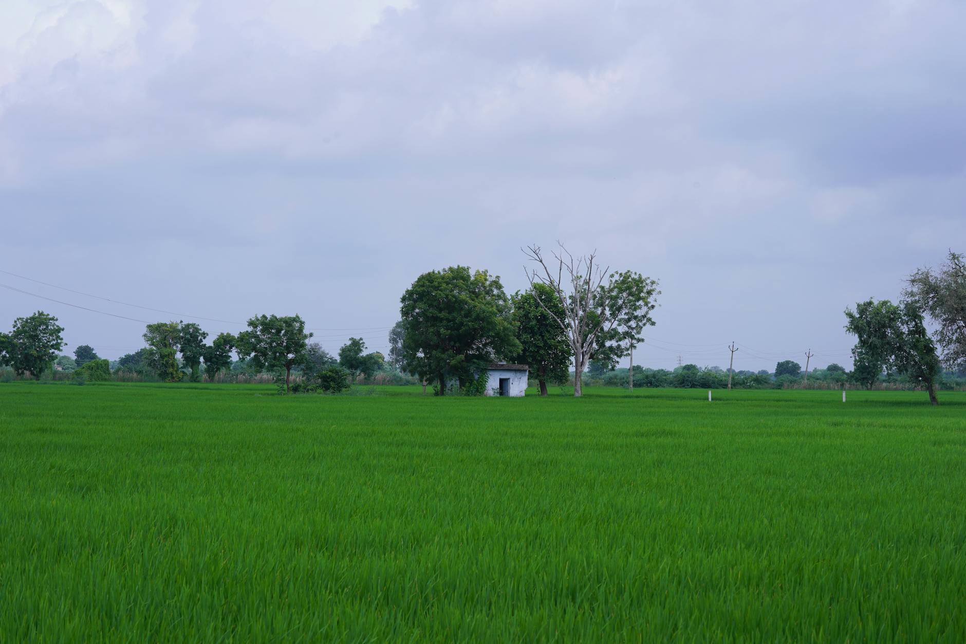 Scenic rural landscape representing remote communities gaining gaming access