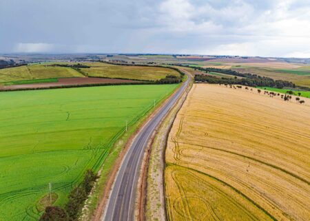 Aerial view of an open road stretching across a colorful landscape, representing free roam exploration