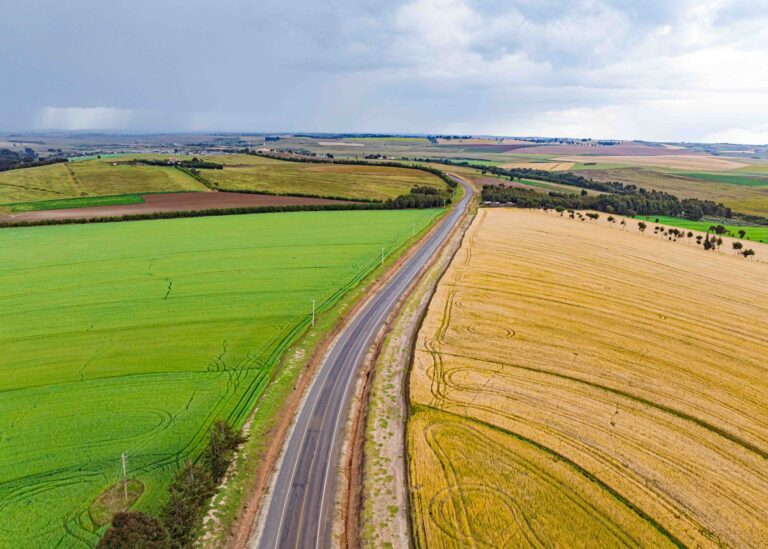 Aerial view of an open road stretching across a colorful landscape, representing free roam exploration