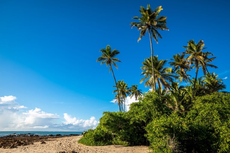 A peaceful tropical island scene representing the Animal Crossing aesthetic of relaxed island life