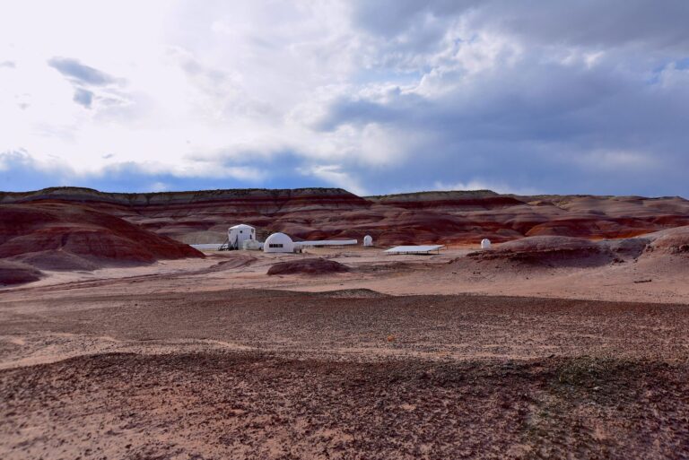 A vast, colorful alien landscape representing the open world of Xenoblade Chronicles X