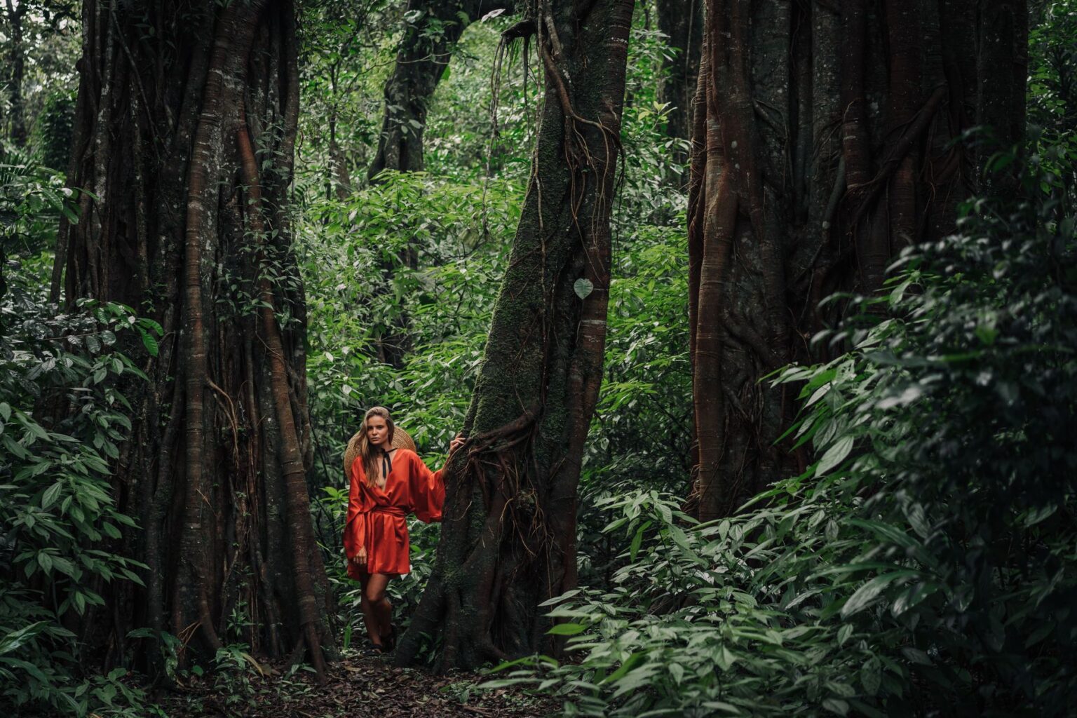 Dense jungle environment suggesting exploration and adventure themes