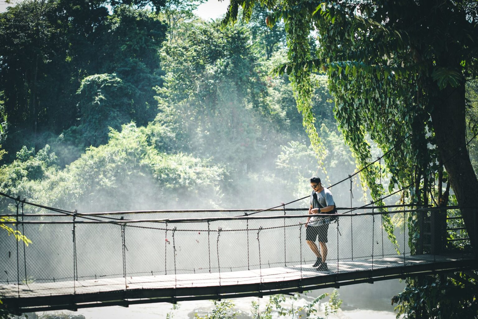 Dense jungle foliage representing the tropical setting associated with classic Donkey Kong Country games