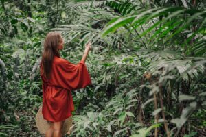 A lush jungle environment evoking classic platformer adventure settings