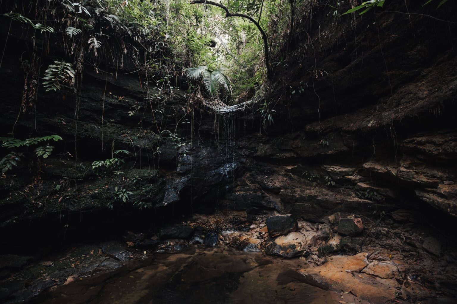 Dark cave entrance surrounded by dense jungle vegetation, evoking hidden path discovery