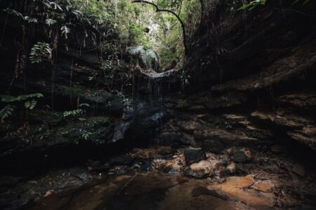 Dark cave entrance surrounded by dense jungle vegetation, evoking hidden path discovery