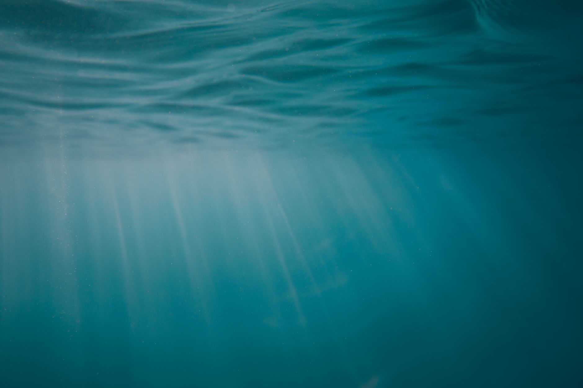 Clear blue underwater ocean scene evoking aquatic gameplay environments