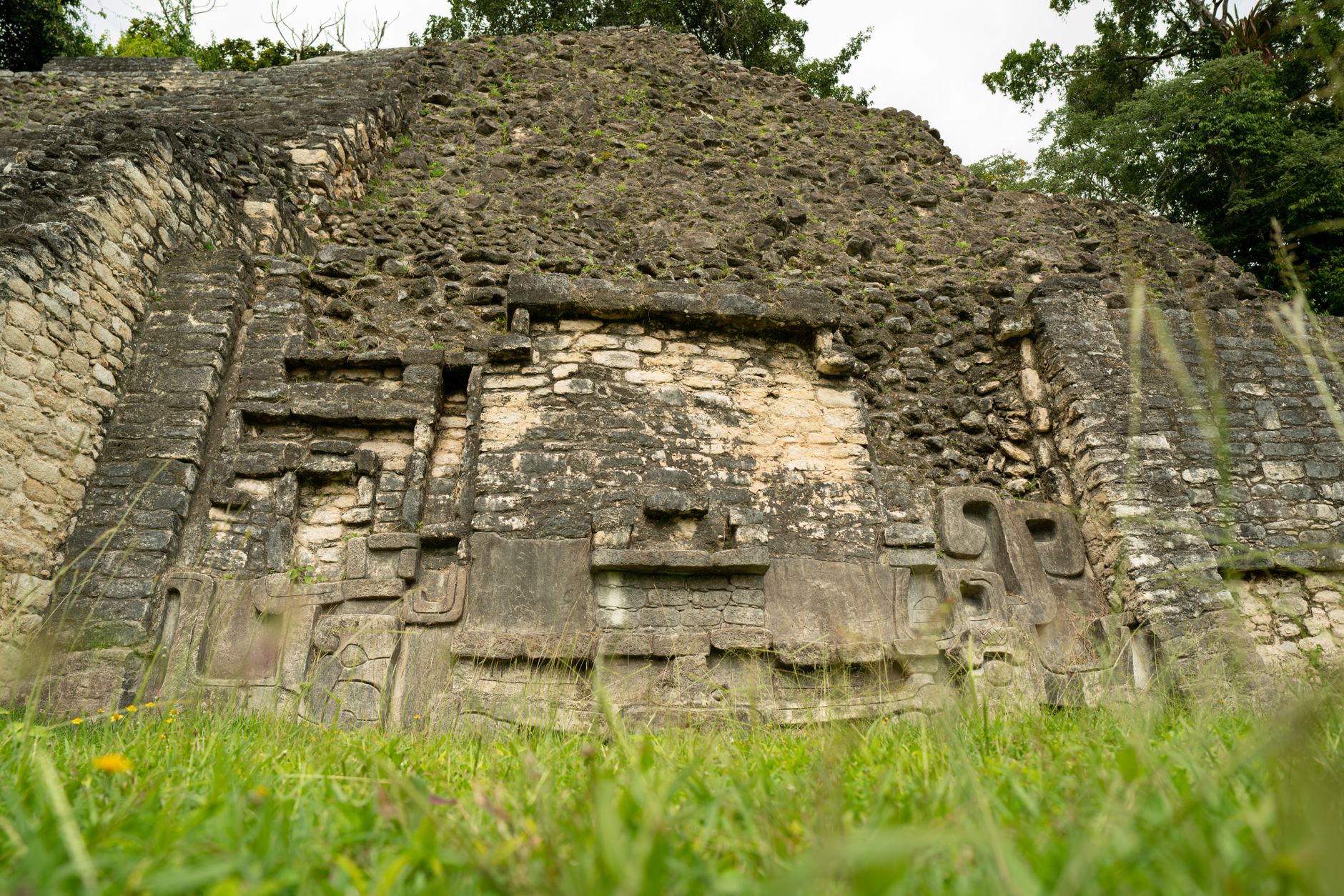 A person exploring dense jungle ruins, representing adventure and platformer game environments