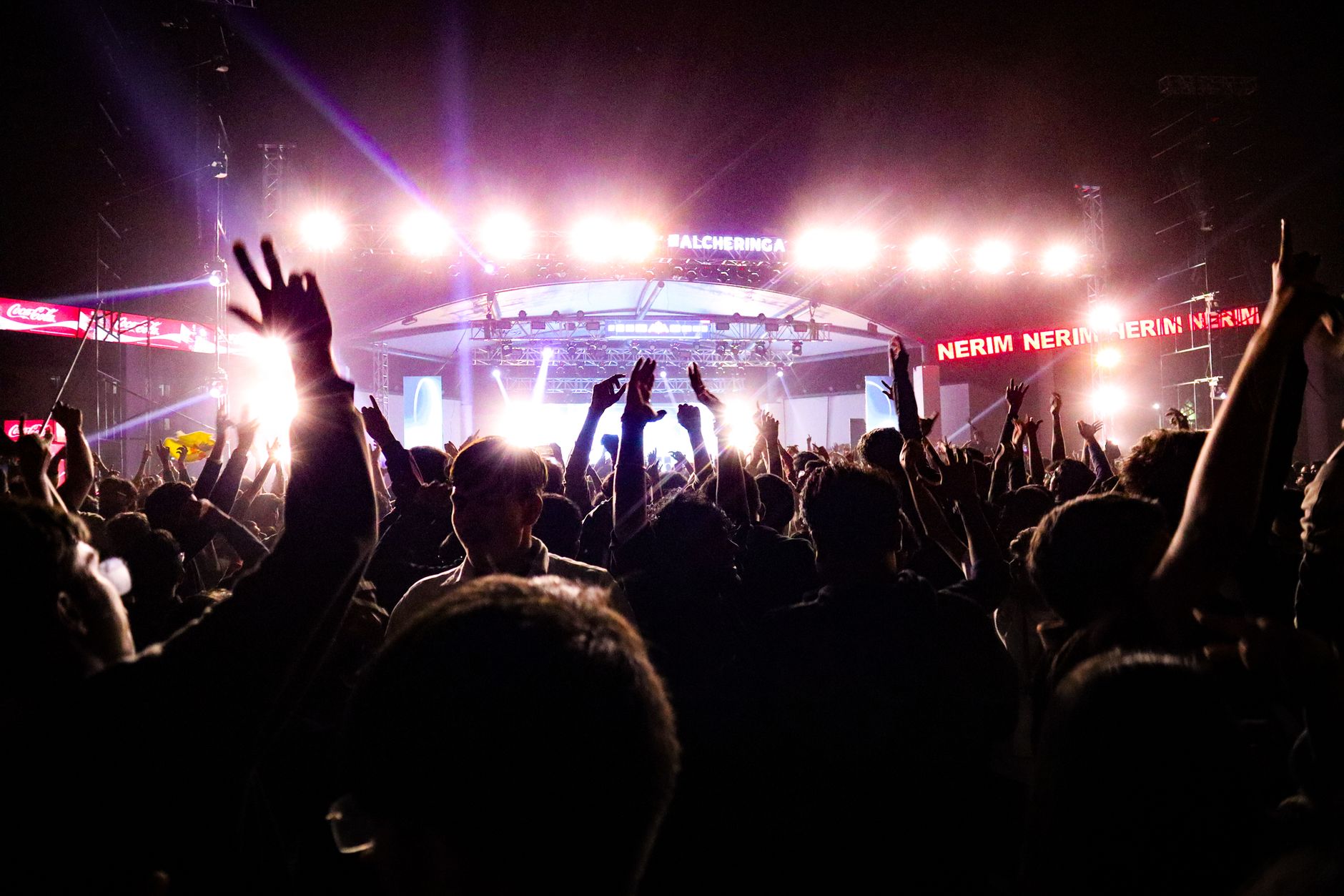 A crowd gathered at a live music performance, representing dedicated fan communities for video game music
